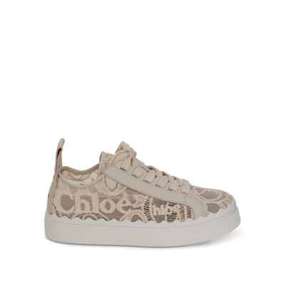 Chloé Lauren Scalloped Leather-trimmed Lace High-top Sneakers