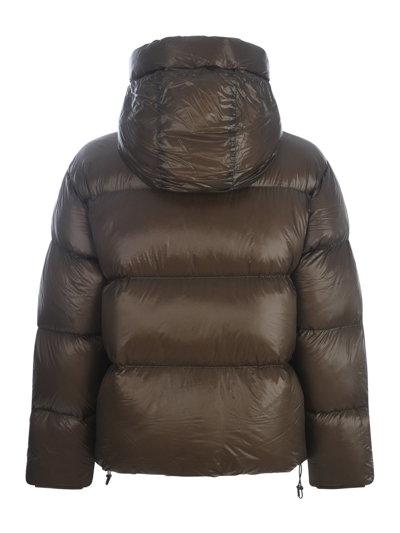 Shop Emporio Armani Down Jacket  In Quilted Nylon In Marrone
