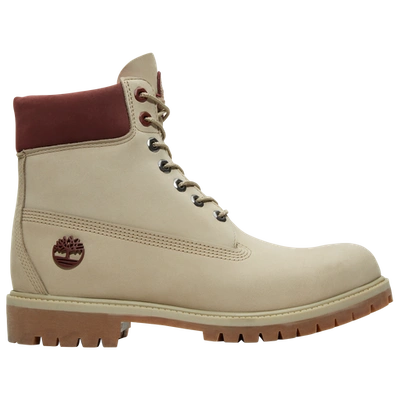 Shop Timberland Mens  Varsity 6 In Red/light Brown