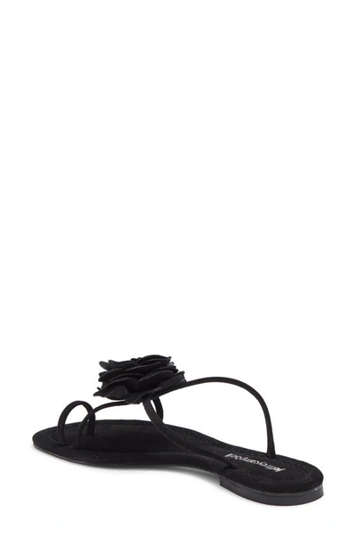 Shop Jeffrey Campbell Tropico Sandal In Black Suede
