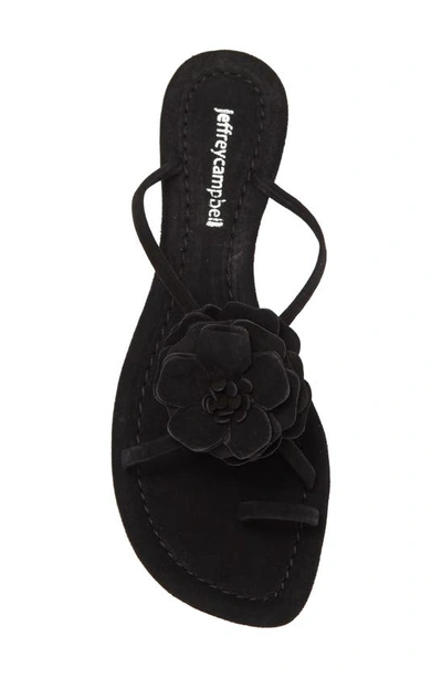 Shop Jeffrey Campbell Tropico Sandal In Black Suede