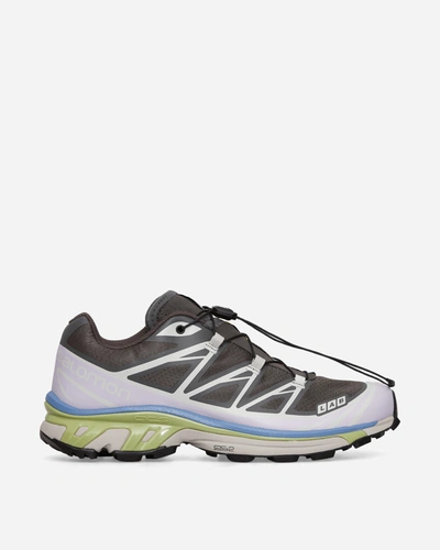 Shop Salomon Xt-6 Sneakers Magnet / Ashes Of Roses / Pear In Multicolor