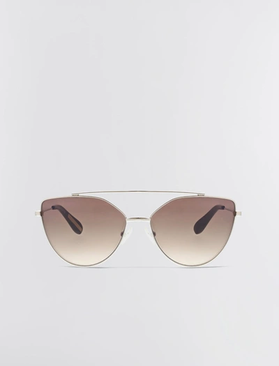 Shop Bcbgmaxazria Aviator Hybrid Sunglasses In Silver/brown