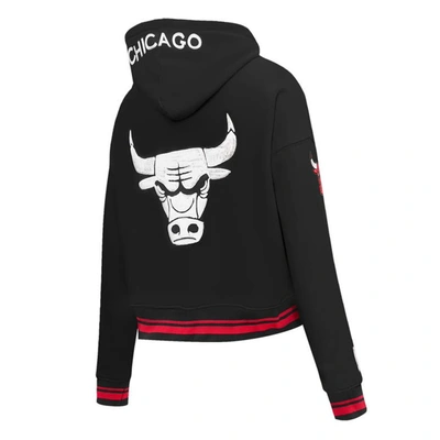 Shop Pro Standard Black Chicago Bulls 2023/24 City Edition Cropped Pullover Hoodie