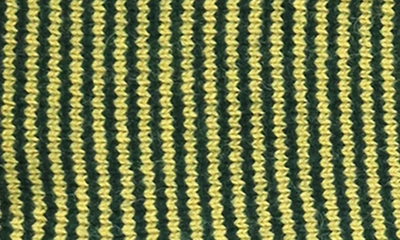 Shop Portolano Ministripe Rib Scarf In Forest/ Mustard