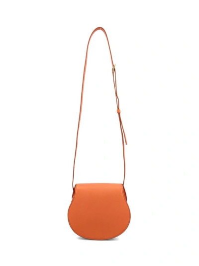 Shop Chloé Handbags In Tawny Orange