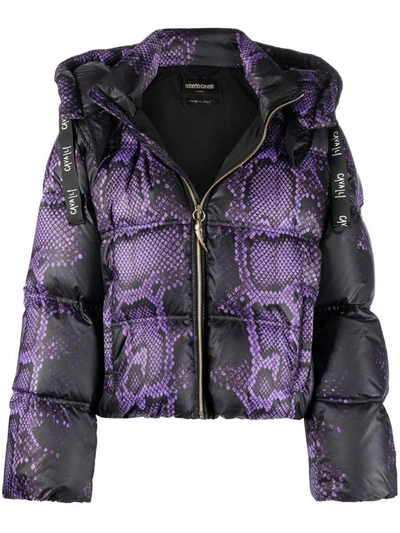 Shop Roberto Cavalli Jackets In Purple/black