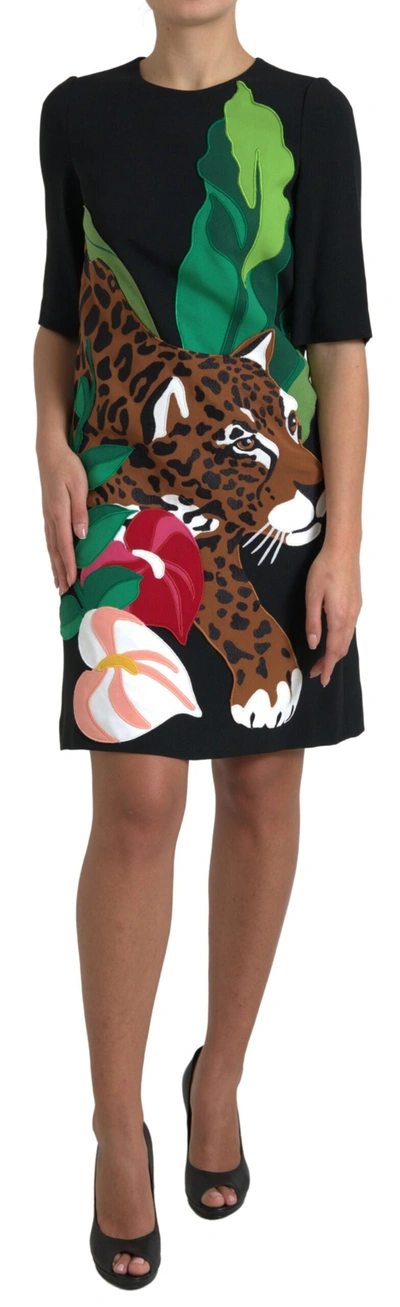 Shop Dolce & Gabbana Black Tiger Jungle Print Sheath Stretch Dress