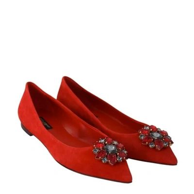 Shop Dolce & Gabbana Bellucci Suede Flat