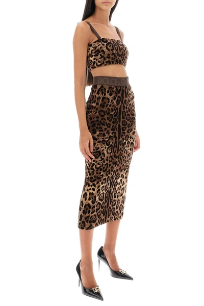 Shop Dolce & Gabbana Leopard Chenille Cropped Top
