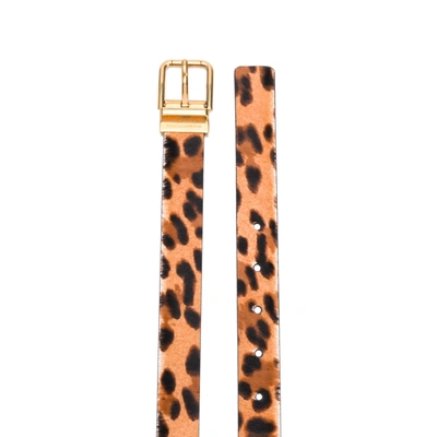 Shop Dolce & Gabbana Leopard Print Belt