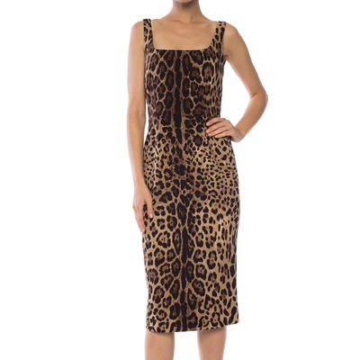 Shop Dolce & Gabbana Leopard Printed Dress