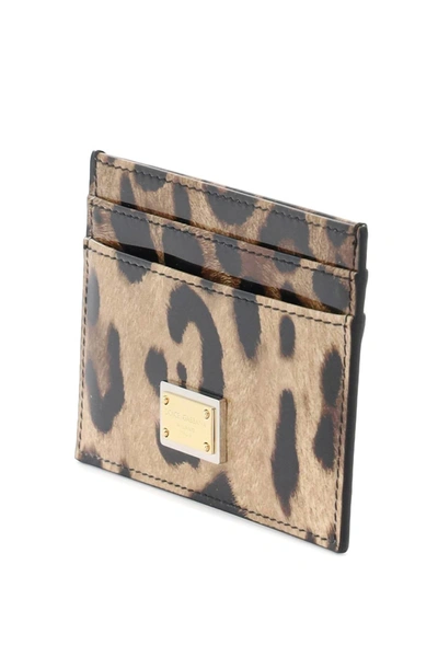 Shop Dolce & Gabbana Leopard Print Leather Cardholder