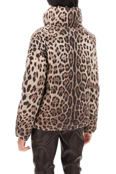 Shop Dolce & Gabbana Leopard Print Short Puffer Jacket