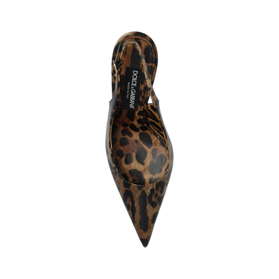 Shop Dolce & Gabbana Leopard Print Slingaback Pumps