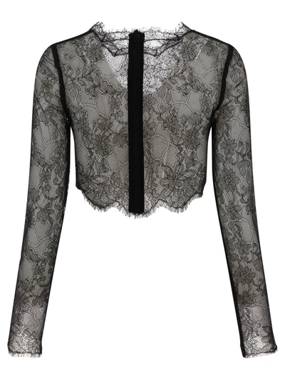 Shop Dolce & Gabbana Sheer Lace Cropped Top