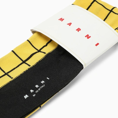 Shop Marni Yellow/black Check Pattern Long Socks