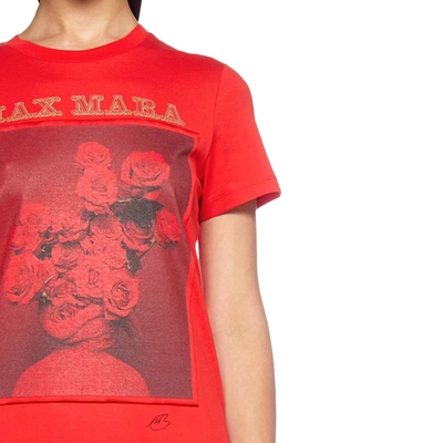 Shop Max Mara Cotton Printed T Shirt