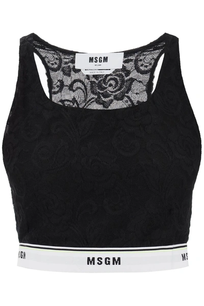 Shop Msgm Sports Bra In Lace With Logoed Band