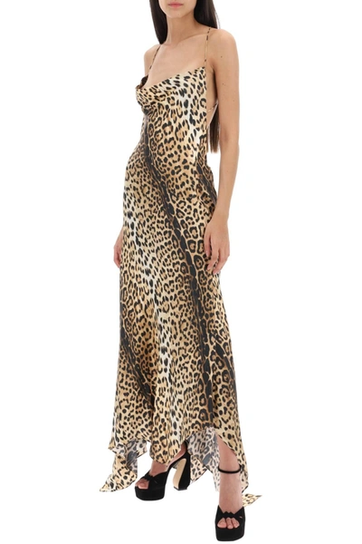 Shop Roberto Cavalli Maxi Dress With Jaguar Motif