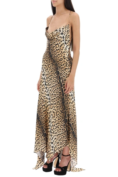 Shop Roberto Cavalli Maxi Dress With Jaguar Motif