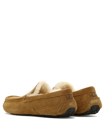 Shop Ugg Ascot Loafers