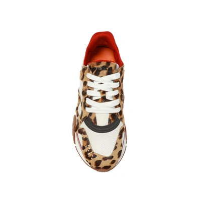 Shop Versace Squalo Leopard Sneakers