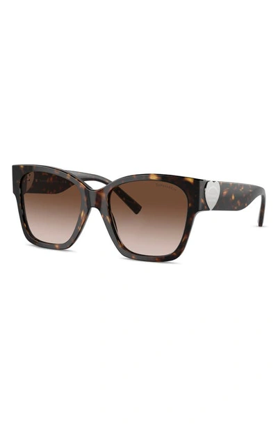 Tiffany & Co 54mm Gradient Square Sunglasses In Havana