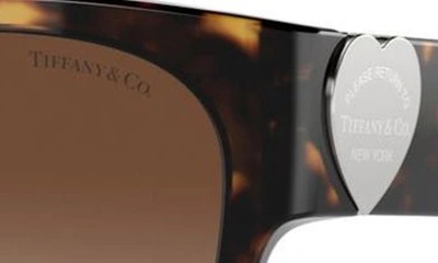 Tiffany & Co 54mm Gradient Square Sunglasses In Havana