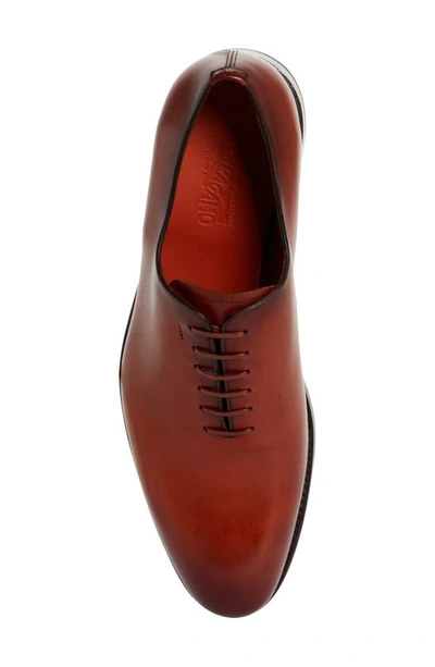 Shop Ferragamo Angiolo Wholecut Oxford Shoe In Terracotta