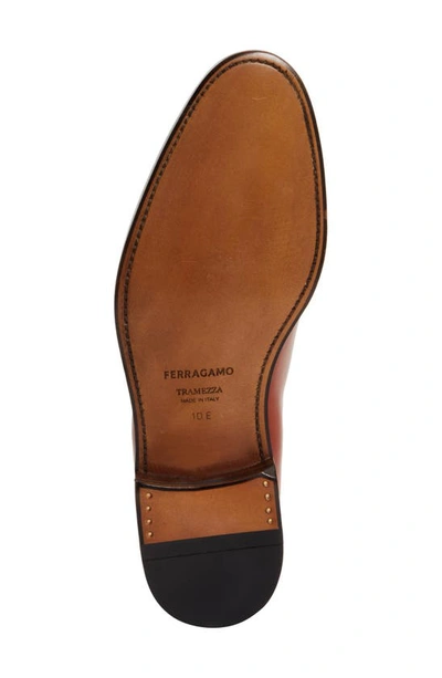 Shop Ferragamo Angiolo Wholecut Oxford Shoe In Terracotta