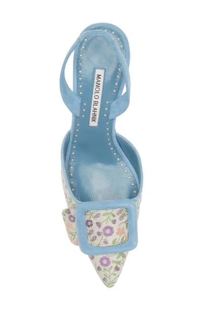 Shop Manolo Blahnik Mayslibi Floral Pointed Toe Slingback Pump In Blue Multi