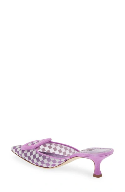 Manolo Blahnik Maysalebi Buckle Pointed Toe Mule In Purple