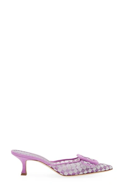 Manolo Blahnik Maysalebi Buckle Pointed Toe Mule In Purple
