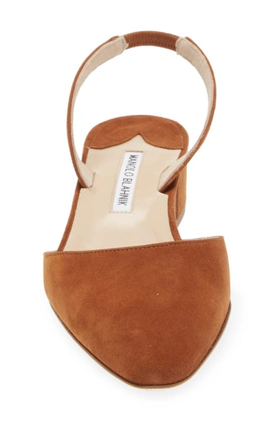 Manolo Blahnik Aspro Block Heel Slingback Suede Pump In Brown