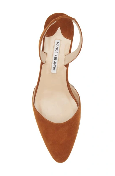 Shop Manolo Blahnik Aspro Block Heel Slingback Suede Pump In Brown