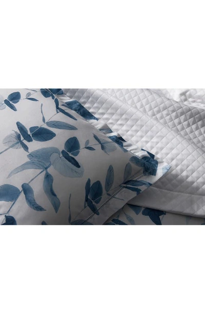 Shop Matouk Antonia Set Of 2 500 Thread Count Pillowcases In Hazy Blue