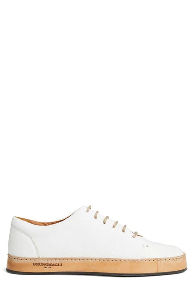 Shop Bruno Magli Collezione Trento Court Sneaker In White