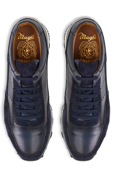 Shop Bruno Magli Collezione Gallo Sneaker In Navy