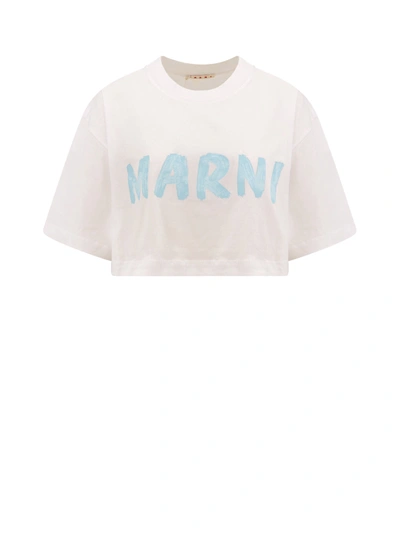 Shop Marni Cotton T-shirt With Frontal Logo