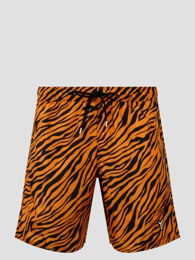 Shop Yes I Am Orange Zebra Swimshort In Yellow & Orange