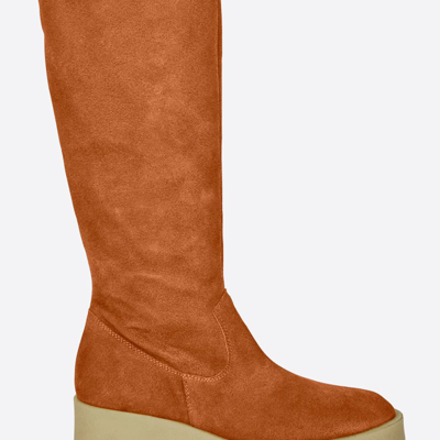 Shop Intentionally Blank Fletcher Tall Suede Boot In Brown
