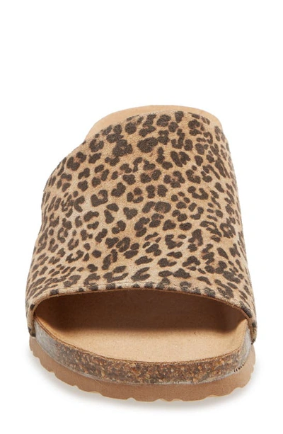 Shop Bos. & Co. Lux Slide Sandal In Leopard Print Suede