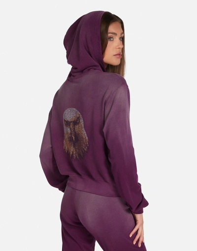 Lauren Moshi Lachelle Moshi Eagle Head In Deep Merlot Ombre