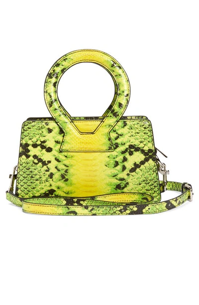 Shop Luar Small Ana Python Embossed Leather In Green Multi