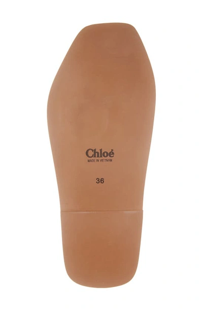 Chloé X High Summer Woody Embroidered Logo Flat Sandals In Neutral