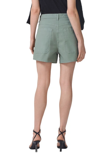 Shop Citizens Of Humanity Frances High Waist Shorts In Nova