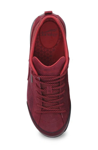 Shop Dansko 'paisley' Waterproof Sneaker In Red Burnished Suede