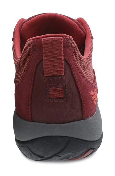 Shop Dansko 'paisley' Waterproof Sneaker In Red Burnished Suede