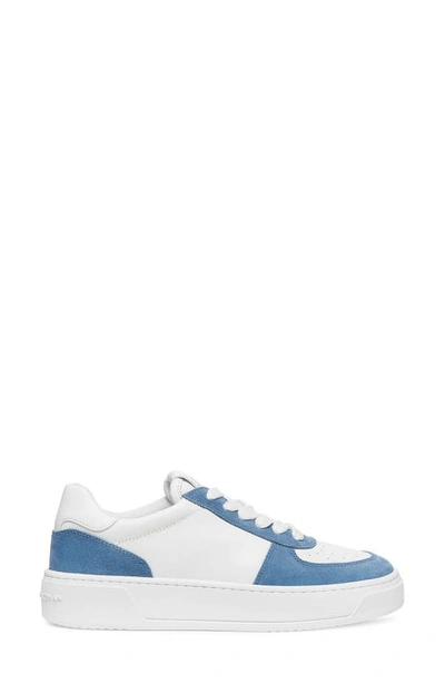 Shop Stuart Weitzman Courtside Sneaker In White/ Blue Steel Leather